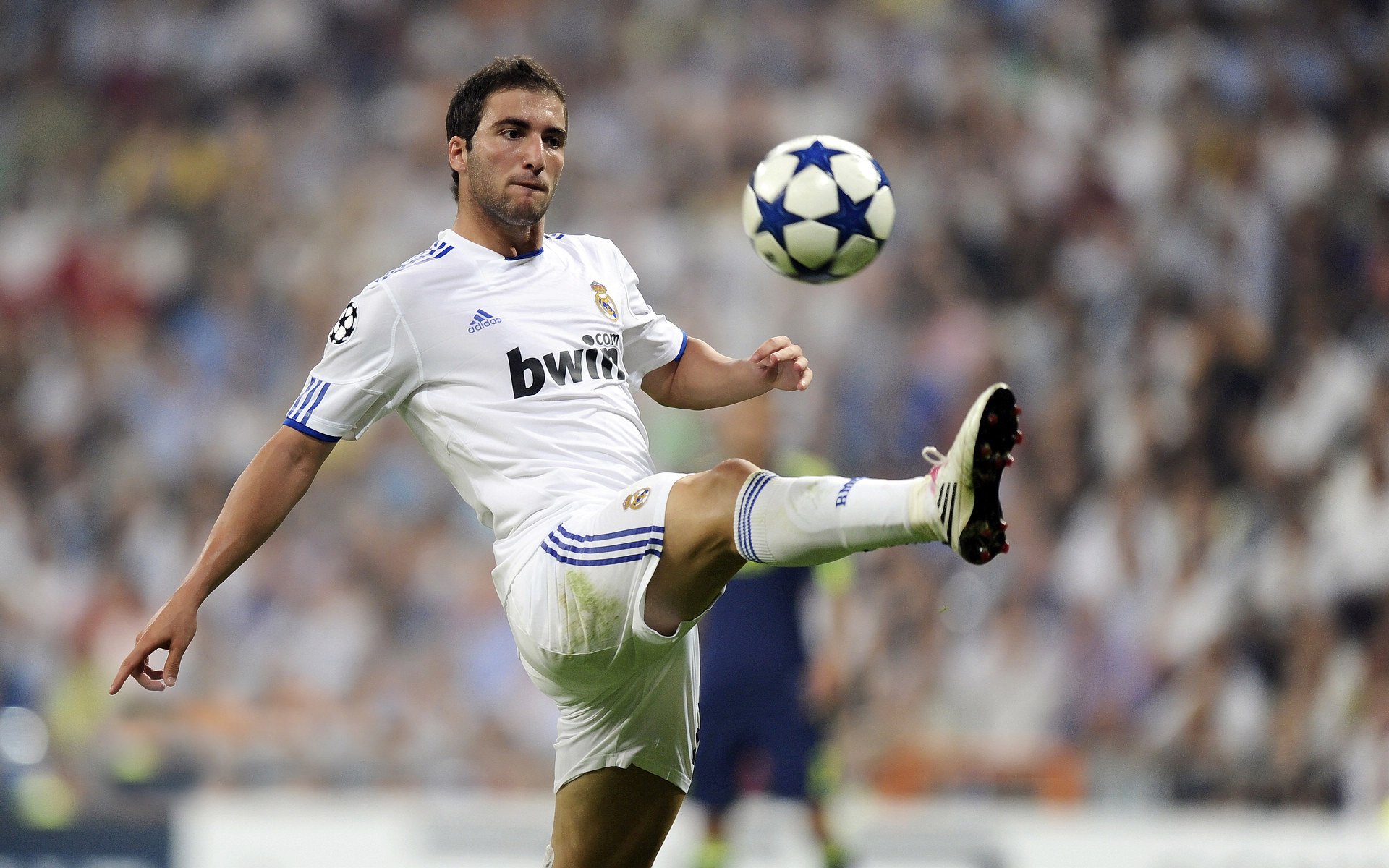 威尔士体育政策促进橄榄球在基层的发展，威尔士橄榄球联盟